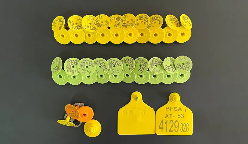 Plastic and rubber products